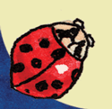 ladybug down left